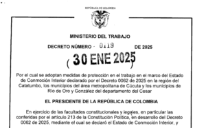 Decreto 119